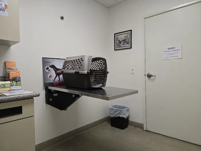 Winnetka Animal Clinic Picture 9