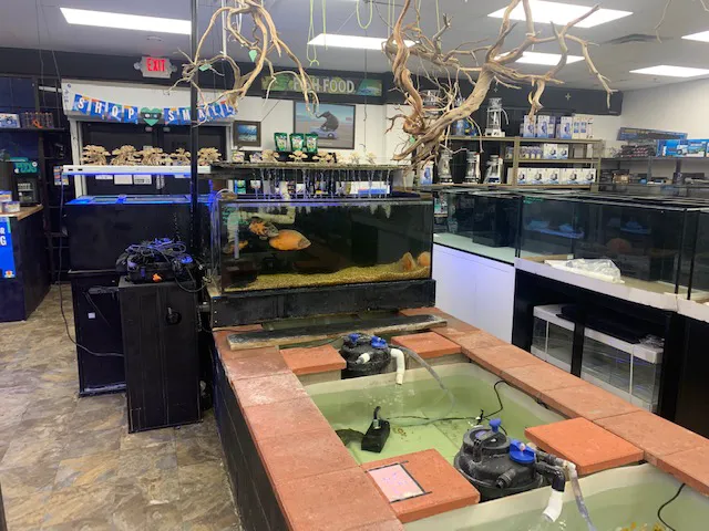 Discount Aquarium Fish and Reef Picture 4