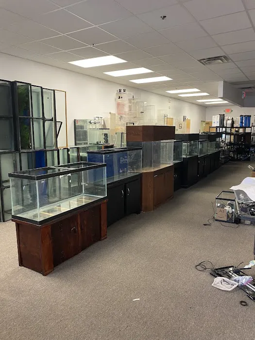 Discount Aquarium Fish and Reef Picture 3