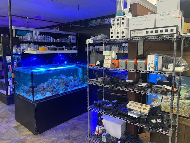 Discount Aquarium Fish and Reef Picture 10