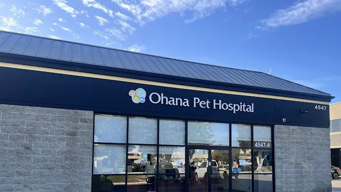 Ohana Pet Hospital Picture 7
