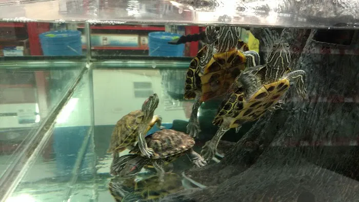 Petco Picture 1
