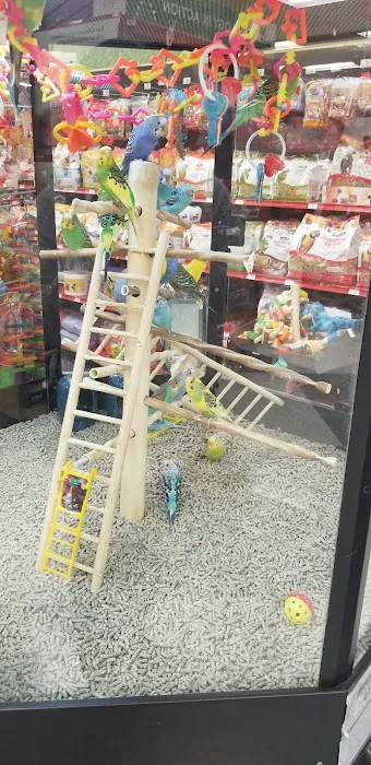 Petco Picture 7