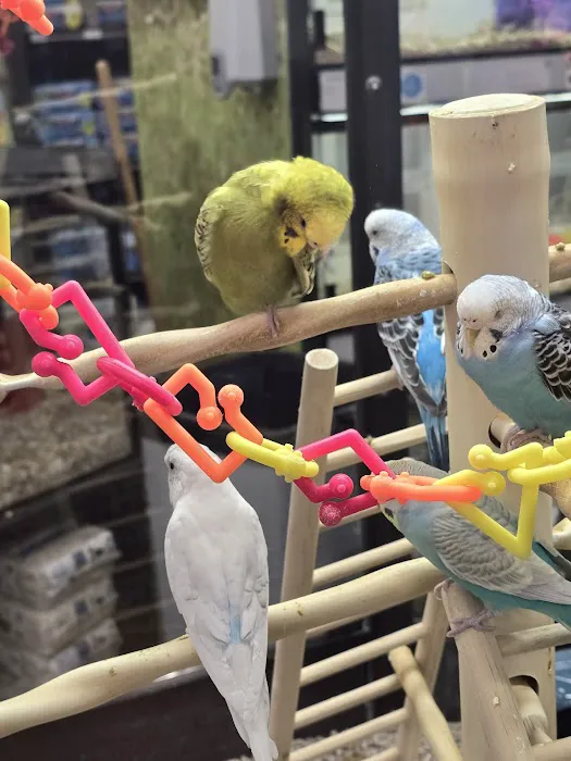 Petco Picture 6