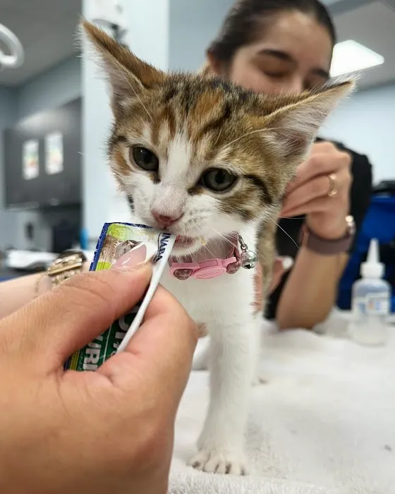 Cornelius Pet Hospital Picture 1