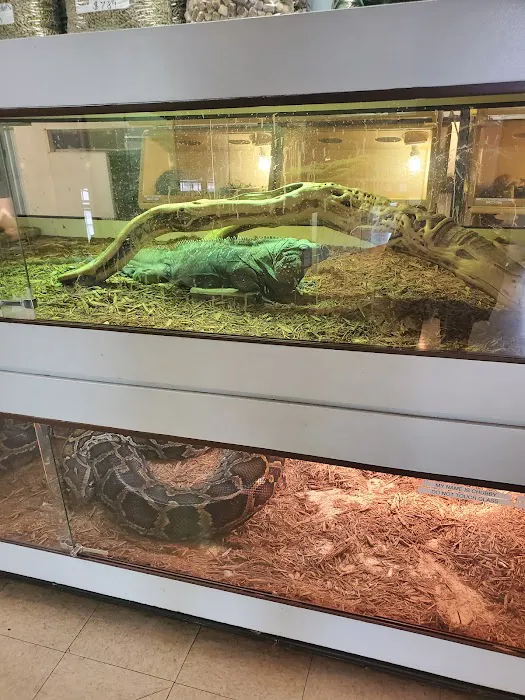 Arizona Reptile Center Picture 6