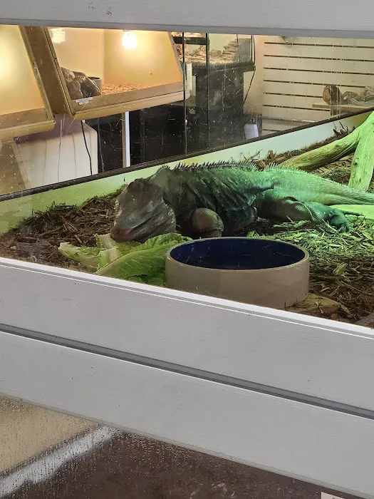 Arizona Reptile Center Picture 4