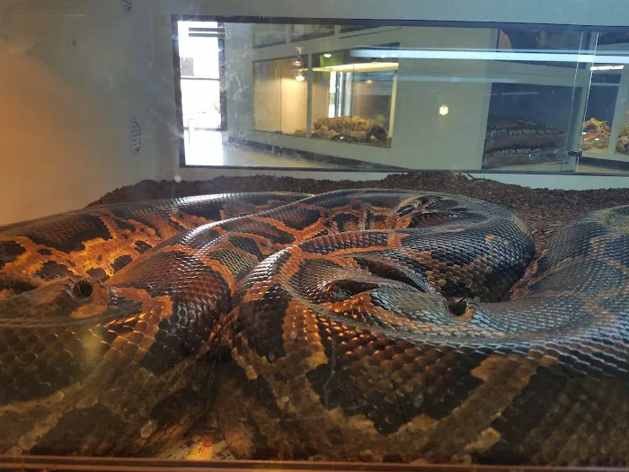Arizona Reptile Center Picture 5