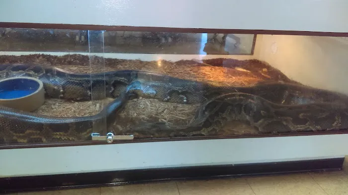 Arizona Reptile Center Picture 3