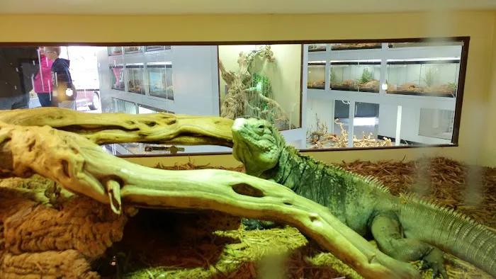Arizona Reptile Center Picture 2