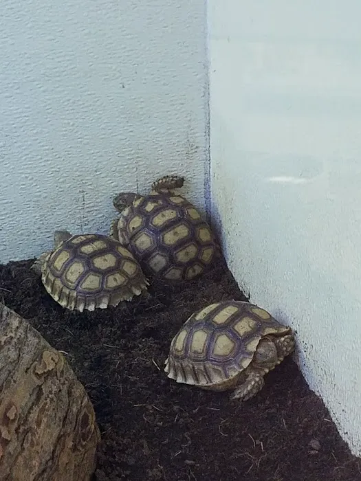Arizona Reptile Center Picture 10