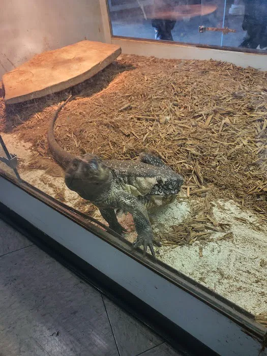 Arizona Reptile Center Picture 7