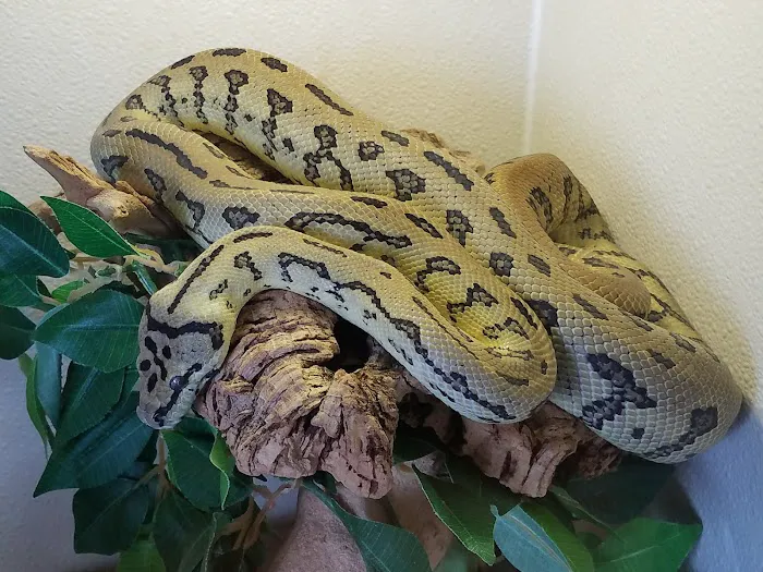 Arizona Reptile Center Picture 8