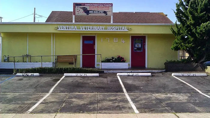 Ventura Veterinary Hospital Picture 3