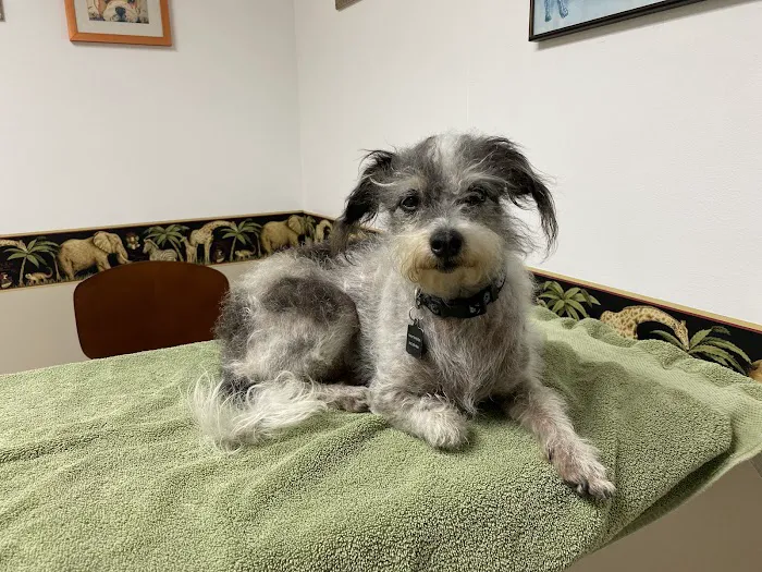 Ventura Veterinary Hospital Picture 5