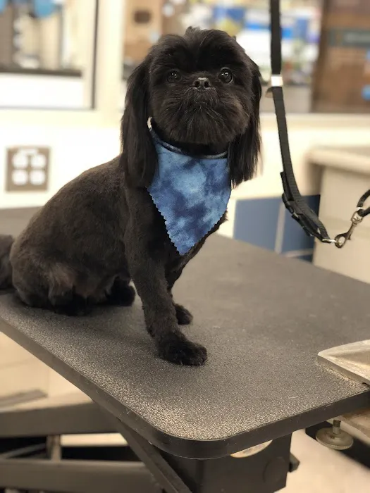 Petco Picture 2