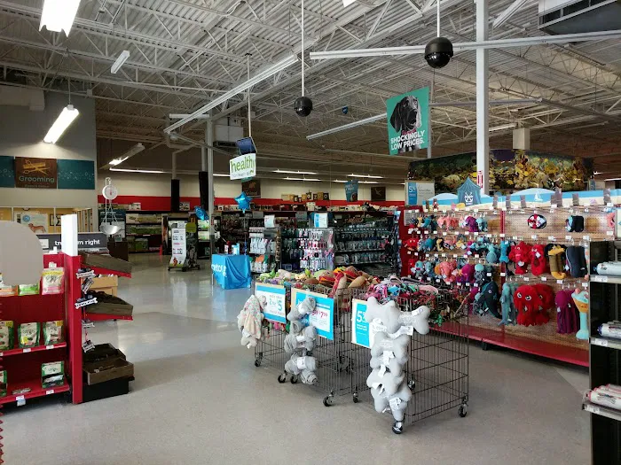 Petco Picture 4