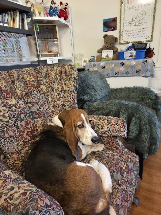 McNeil Veterinary Services Picture 9