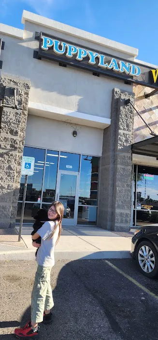 Puppyland Tolleson Picture 1