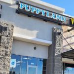 Puppyland Tolleson