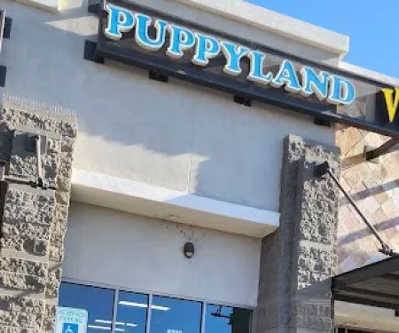 Puppyland Tolleson