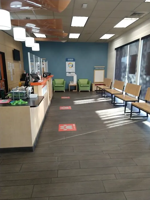 Banfield Pet Hospital Picture 5