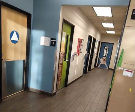 Banfield Pet Hospital
