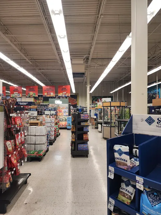 Petco Picture 4