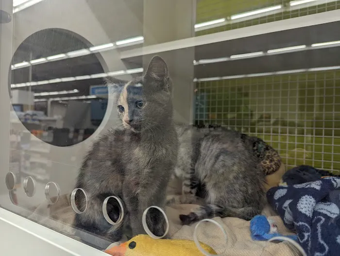 Petco Picture 2