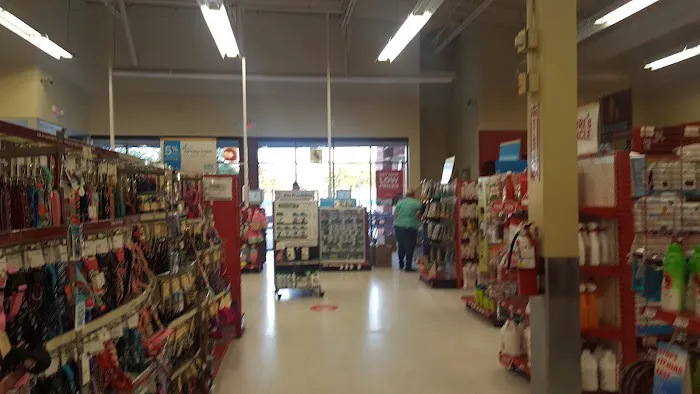 Petco Picture 9