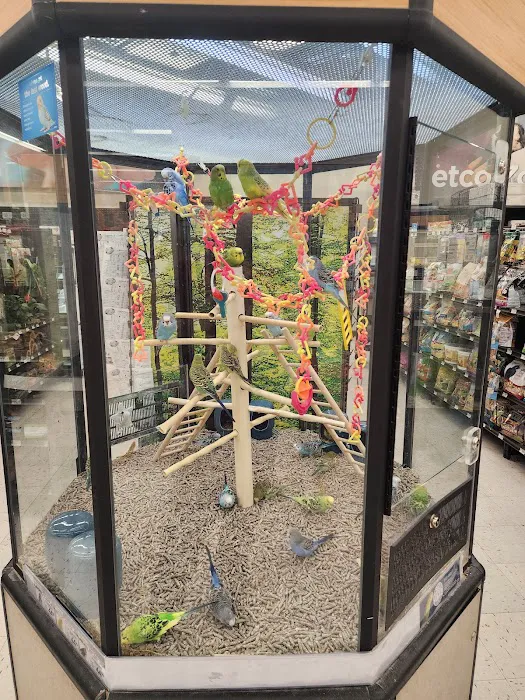 Petco Picture 6