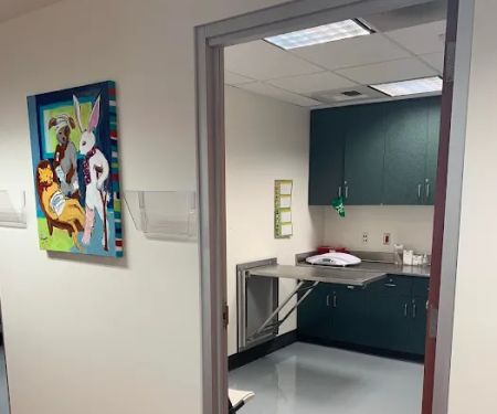 Heaven on Earth Animal Clinic