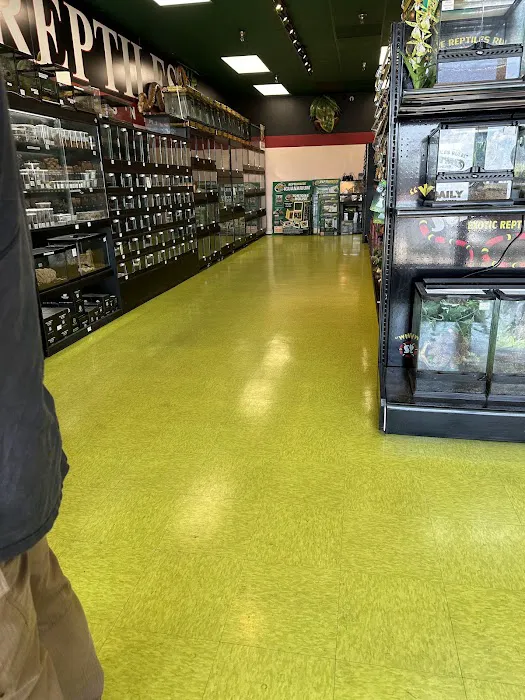 Scales 'N Tails Phoenix West Picture 5