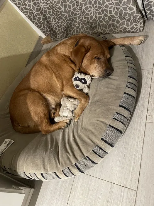 Cozycroft Pet Hospital Picture 1