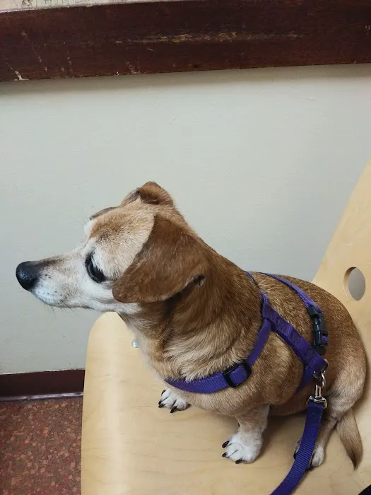 Cozycroft Pet Hospital Picture 10
