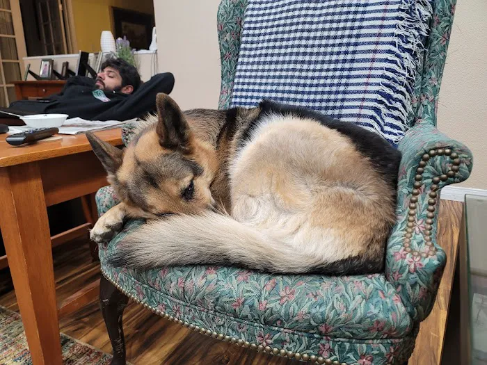 Cozycroft Pet Hospital Picture 8