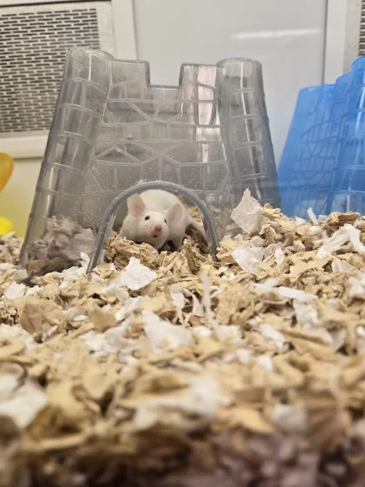 Petco Picture 1