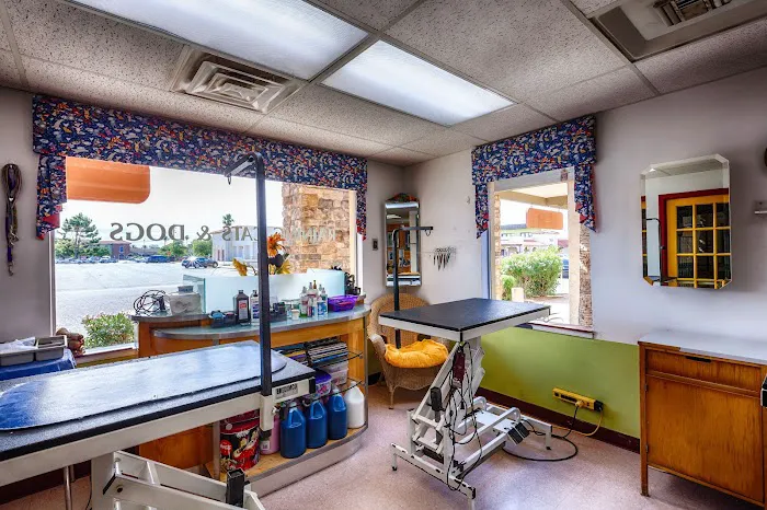 Raining Cats & Dogs Grooming Salon Picture 8