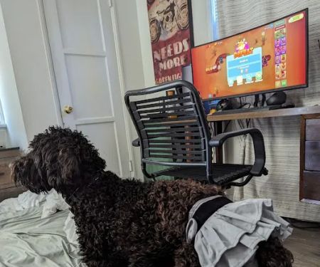 Vetco Total Care Animal Hospital