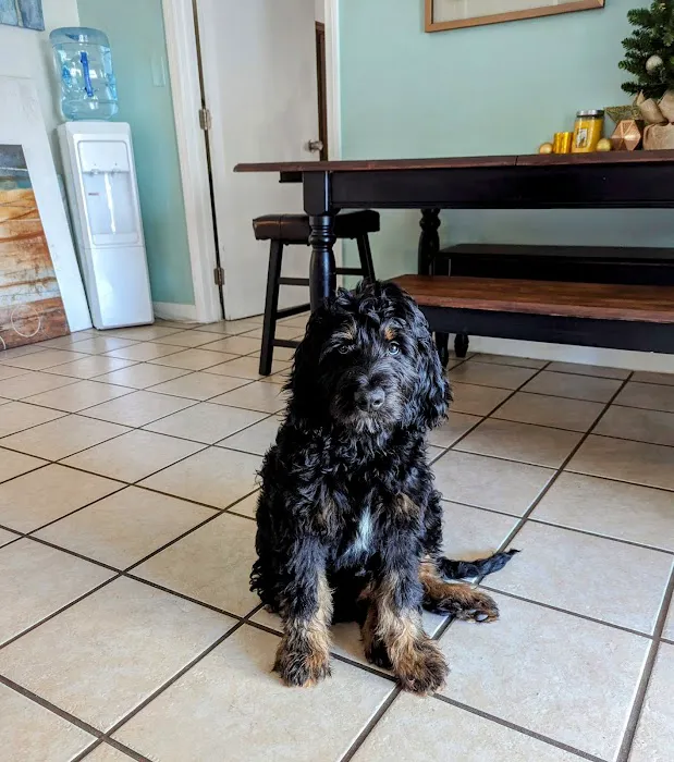 Vetco Total Care Animal Hospital Picture 2