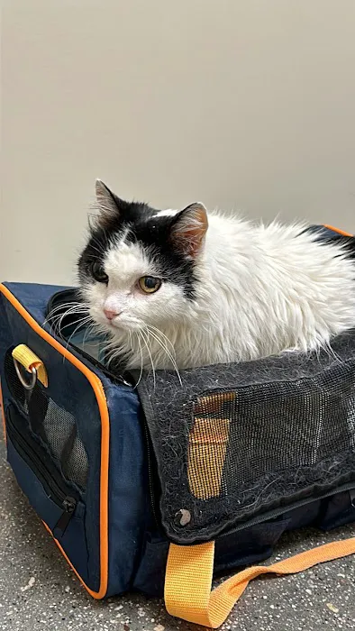 Vetco Total Care Animal Hospital Picture 6