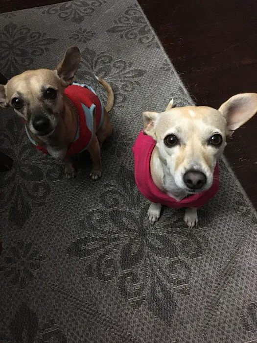 Vetco Total Care Animal Hospital Picture 8
