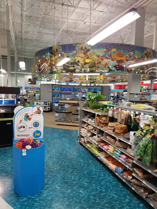 Petco Picture 2