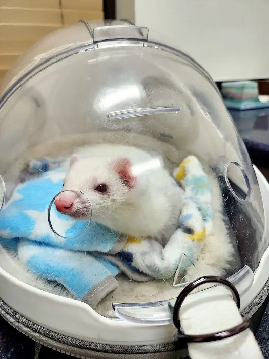 Northridge Veterinary Center Picture 2