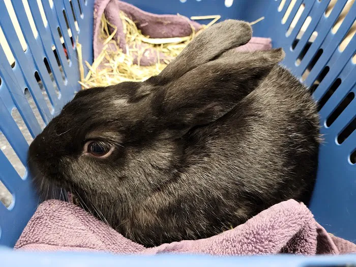 Northridge Veterinary Center Picture 7