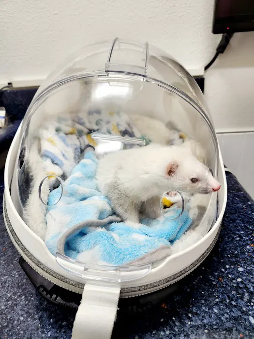 Northridge Veterinary Center Picture 8