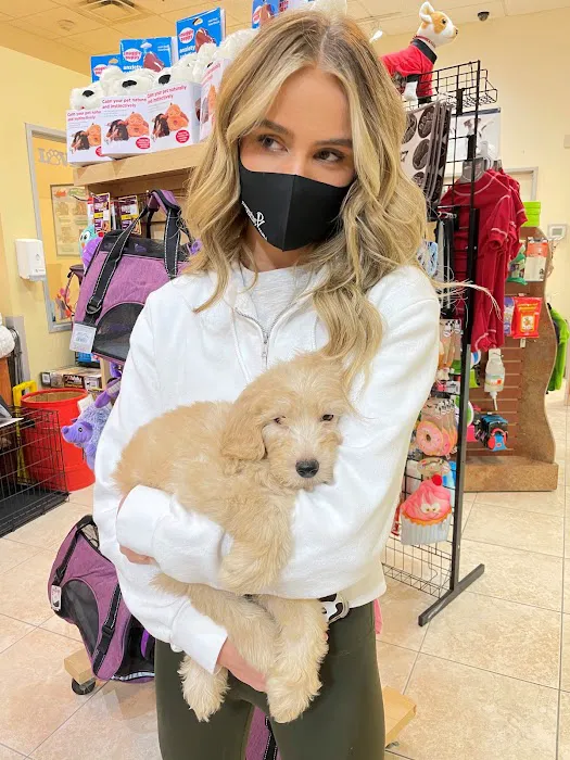 Puppies N Love Picture 8