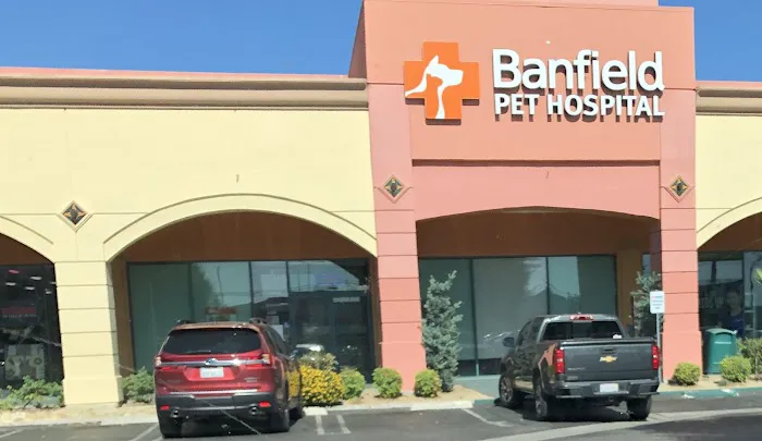 Banfield Pet Hospital Picture 1