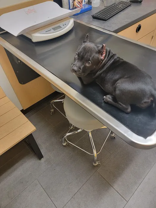 Banfield Pet Hospital Picture 9