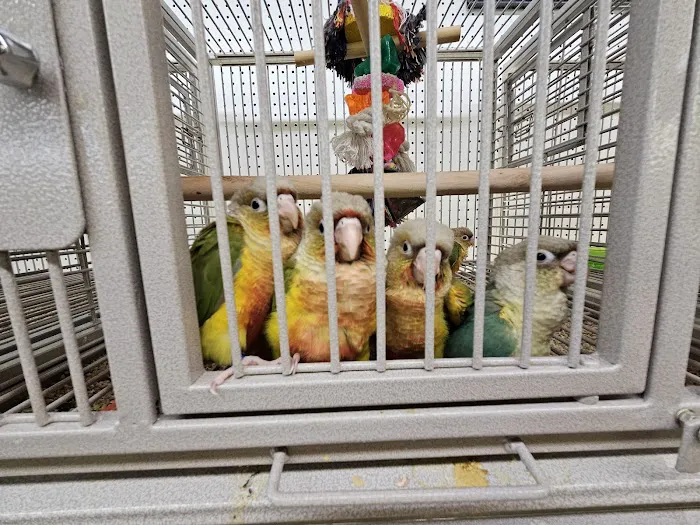 Birds, and Then Some! Picture 1